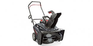 2019 Briggs and Stratton Single-Stage 22-Inch 9.50 TP (1696737)